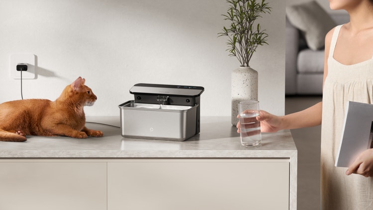 A cat looking at a machine Description automatically generated