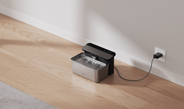 A water fountain on a wood floor Description automatically generated