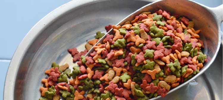 Cat food getting served in a bowl.
