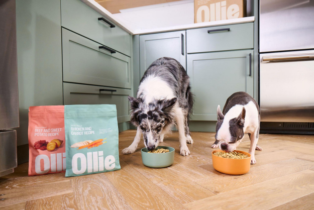Two dogs eating from bowls in a kitchen Description automatically generated