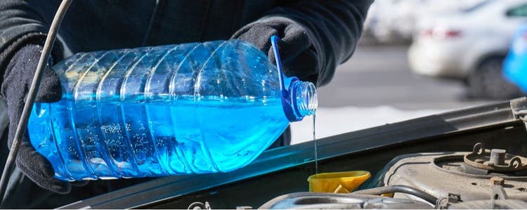 Antifreeze is poisonous if ingested by a dog.